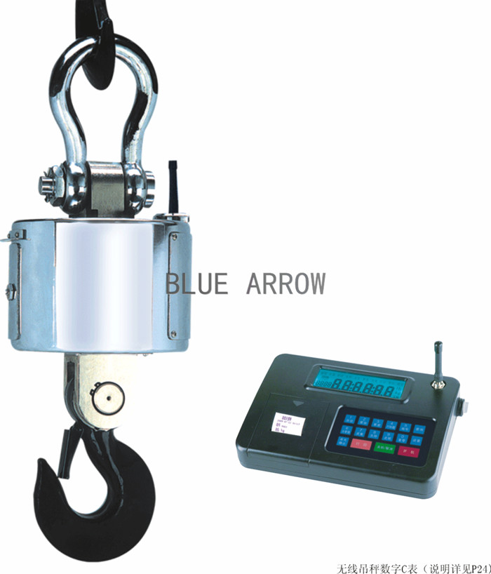 蓝箭电子吊秤价格大全、产品大全-网罗*多的蓝箭电子吊秤产品商机